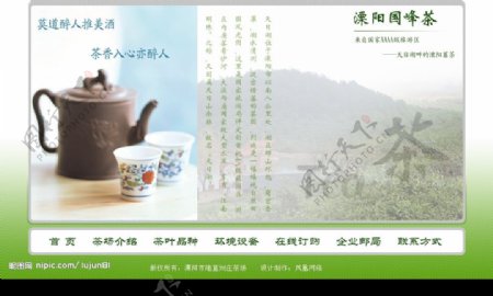 茶叶网页模板图片