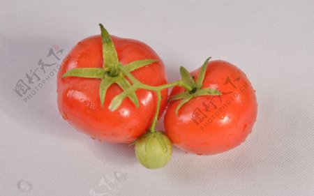水果蔬菜西红柿图片