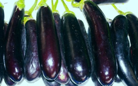 黑皮茄子蔬菜图片