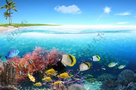 海洋保护环境图片