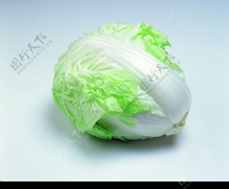 大白菜图片
