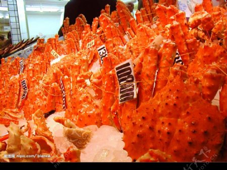 市場海蟹图片