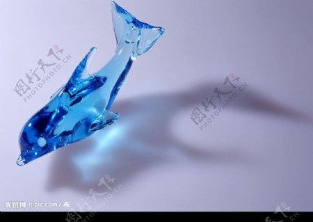 蓝水晶海豚图片