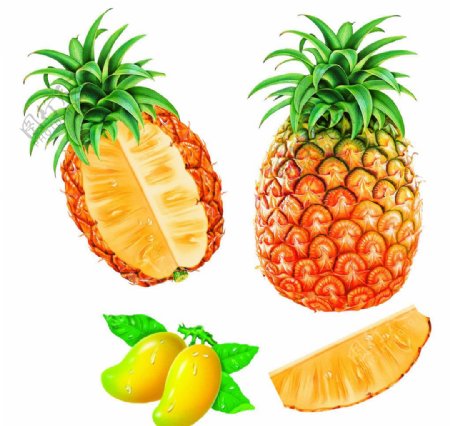 芒果菠萝图片