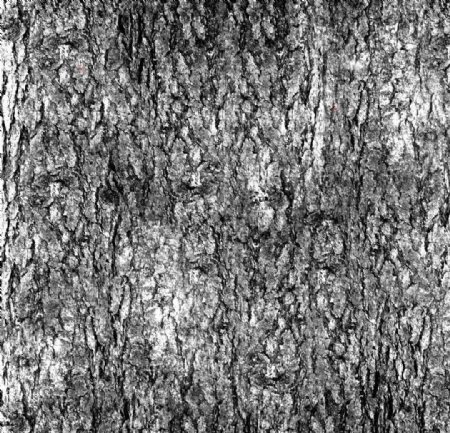 树皮木纹纹理材质贴图图片