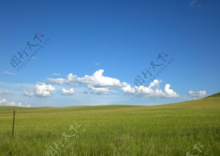 呼伦贝尔草原图片