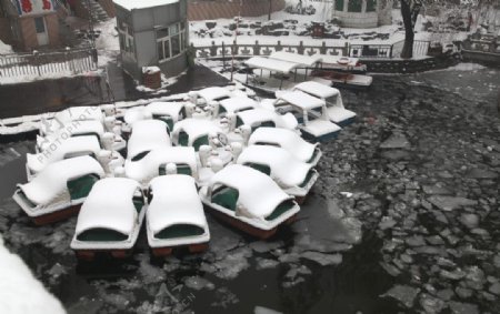 鸭子船湖面冬季图片