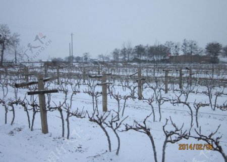 雪景图片