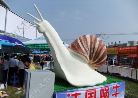 蜗牛石膏造型图片
