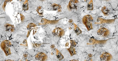 老虎匹布印花动物纹大理石纹理图片