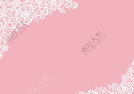 粉红蕾丝图片