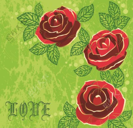 精美红色玫瑰花背景矢量素材图片