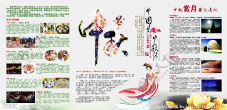中秋节宣传栏图片