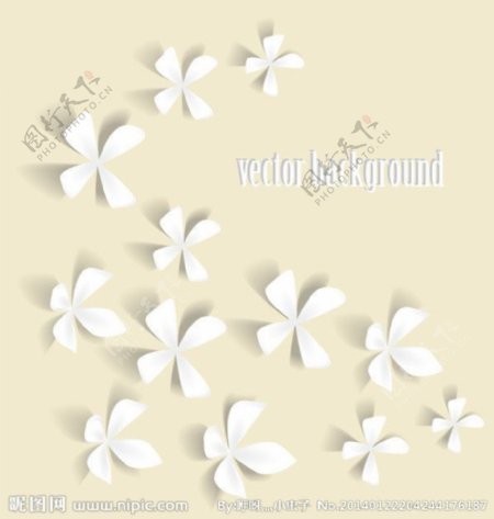 白色樱花四叶图片