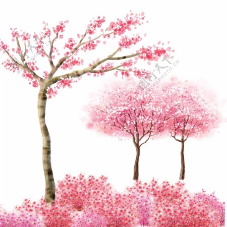 粉色梦幻花朵树木图片