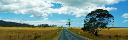 澳洲塔斯马尼亚公路图片