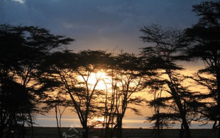 肯尼亚那库鲁落日图片