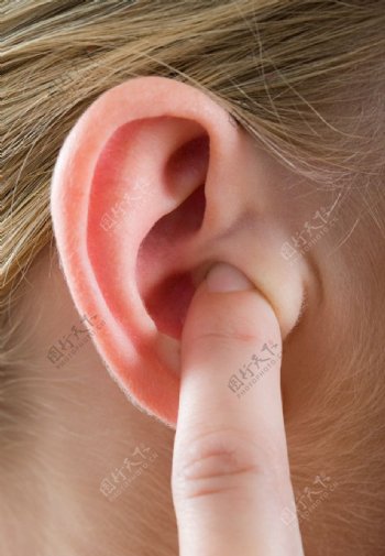 女性耳朵图片