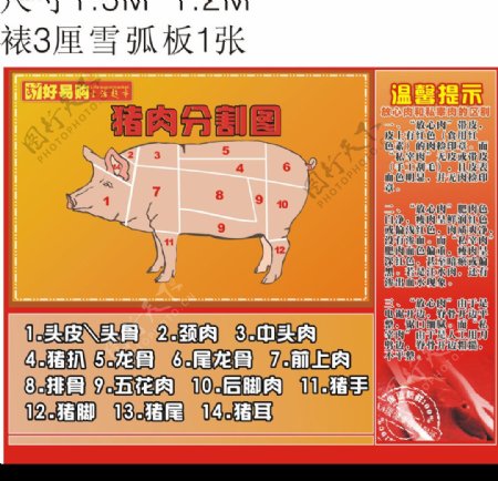 猪肉分割设计图片