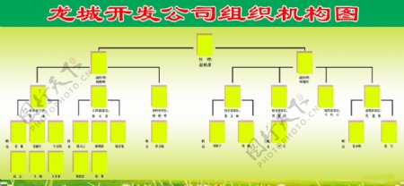 组织机构图片