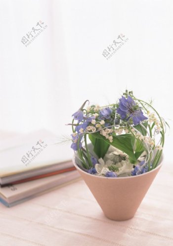 室内绿植鲜花图片