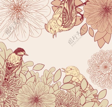 欧式花纹花朵爱情小鸟图片