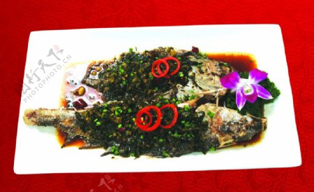 雪菜蒸海黄鱼图片