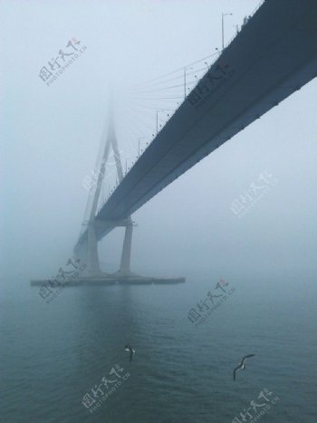 海上的桥图片