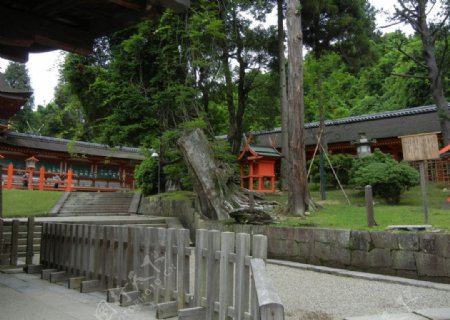 日本奈良风景图片