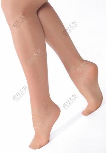 美人腿图片