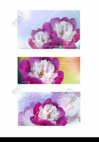 花朵矢量素材图片
