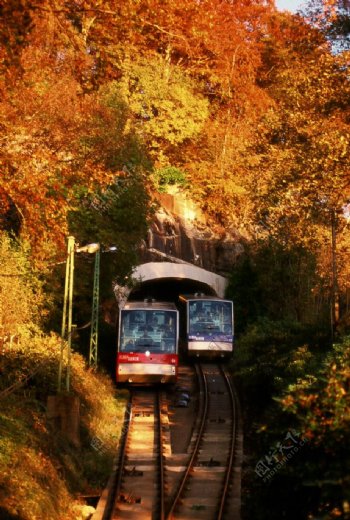 秋天山林火车图片