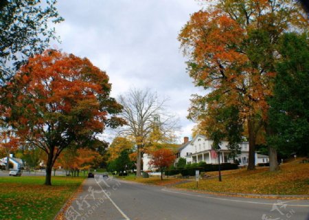 秋天国外校园马路风景图片