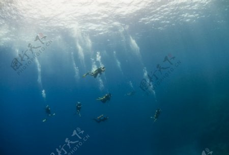 潜水队员跳入大海深处图片