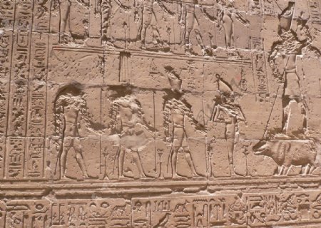 埃及石刻图片