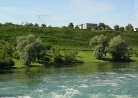 瑞士Rneinau小城风光图片