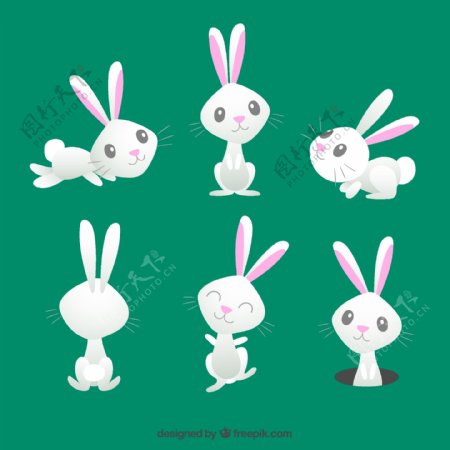 卡通白色兔子设计矢量素材图片