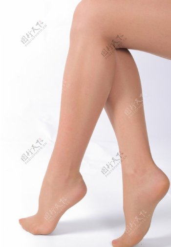 美人腿图片