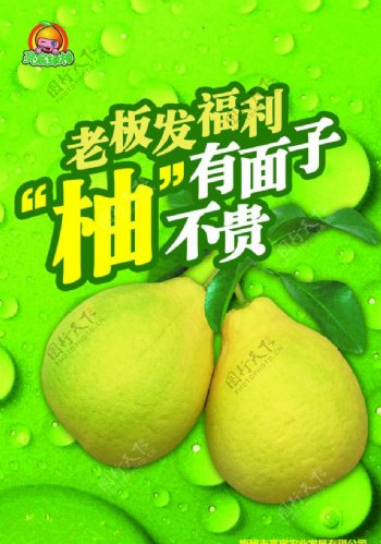 绿柚广告图片