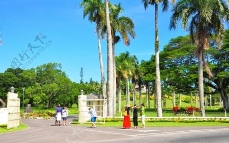 帕劳首都植物园图片