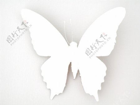 蝴蝶轮廓创意设计图片
