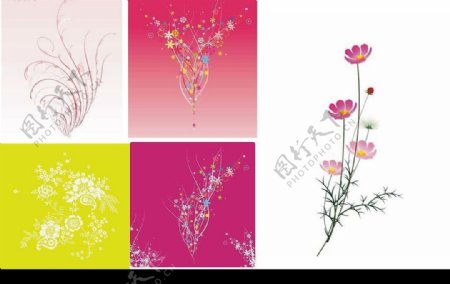 5款缤纷花纹或花朵矢量素材图片