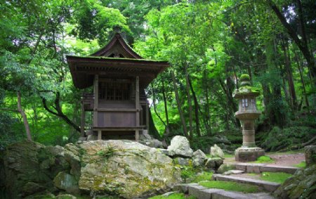 树林里的寺院图片