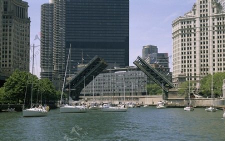 芝加哥卢普区的城市景观图片