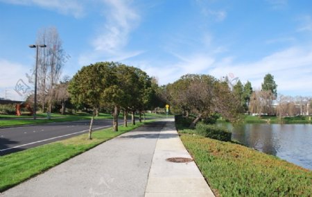 旧金山郊区道路和两旁景观图片