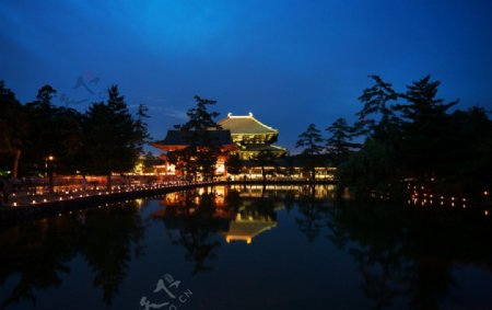日本奈良镜池庙灯会图片