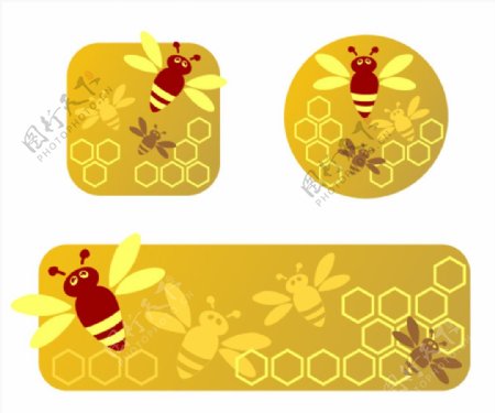 蜜蜂蜂蜜蜂巢黄色图片