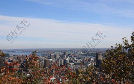 蒙特利尔从皇家山俯瞰城市美景图片