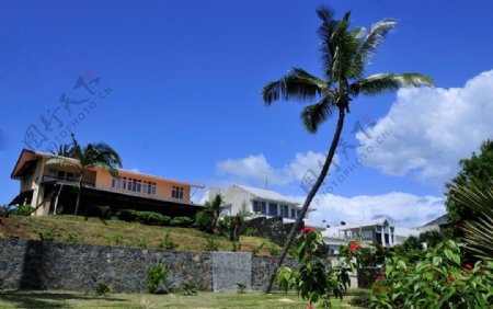 毛里求斯路易港郊外民宅图片