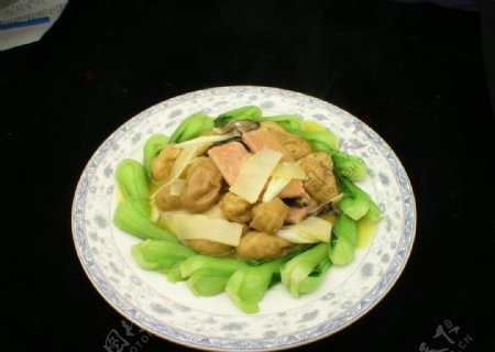 油豆腐烩青菜图片